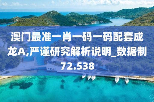 澳门最准一肖一码一码配套成龙A,严谨研究解析说明_数据制72.538