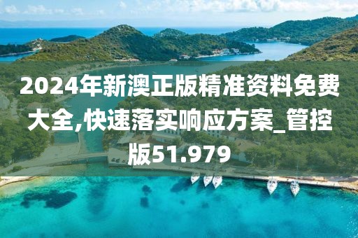 2024年新澳正版精准资料免费大全,快速落实响应方案_管控版51.979
