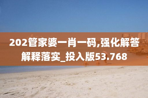 202管家婆一肖一码,强化解答解释落实_投入版53.768