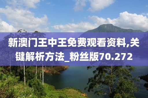 新澳门王中王免费观看资料,关键解析方法_粉丝版70.272