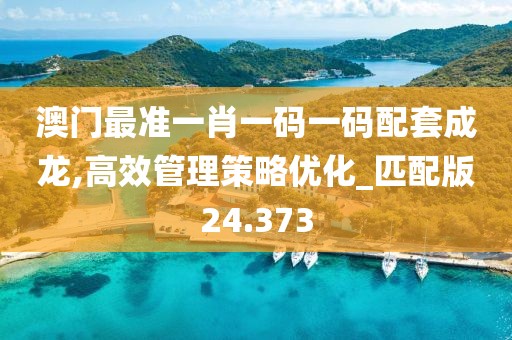 澳门最准一肖一码一码配套成龙,高效管理策略优化_匹配版24.373