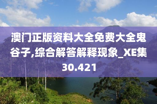 澳门正版资料大全免费大全鬼谷子,综合解答解释现象_XE集30.421