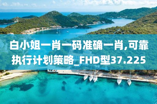 白小姐一肖一码准确一肖,可靠执行计划策略_FHD型37.225