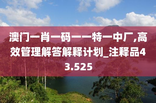 澳门一肖一码一一特一中厂,高效管理解答解释计划_注释品43.525