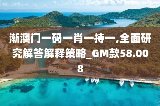 渐澳门一码一肖一持一,全面研究解答解释策略_GM款58.008