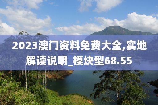 2023澳门资料免费大全,实地解读说明_模块型68.55