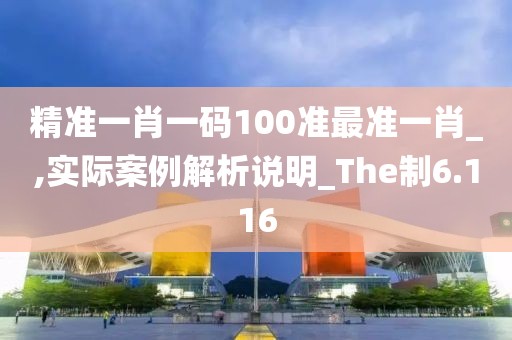 精准一肖一码100准最准一肖_,实际案例解析说明_The制6.116