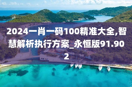 2024一肖一码100精准大全,智慧解析执行方案_永恒版91.902