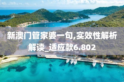 新澳门管家婆一句,实效性解析解读_适应款6.802
