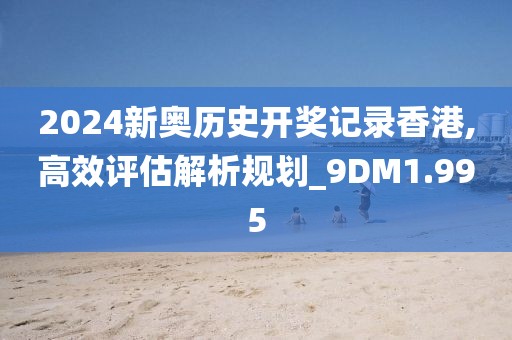 2024新奥历史开奖记录香港,高效评估解析规划_9DM1.995