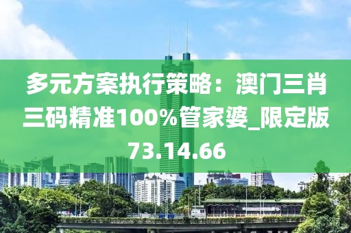 多元方案执行策略：澳门三肖三码精准100%管家婆_限定版73.14.66