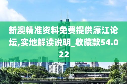 新澳精准资料免费提供濠江论坛,实地解读说明_收藏款54.022