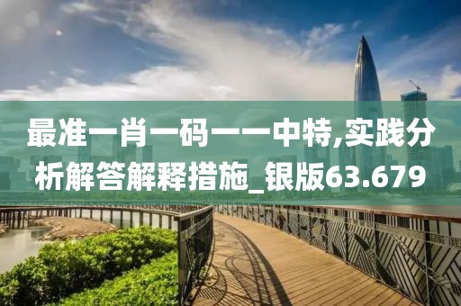 最准一肖一码一一中特,实践分析解答解释措施_银版63.679