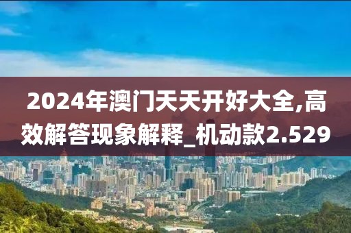 2024年澳门天天开好大全,高效解答现象解释_机动款2.529