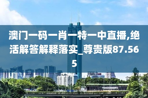 澳门一码一肖一特一中直播,绝活解答解释落实_尊贵版87.565