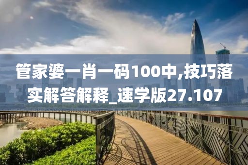 管家婆一肖一码100中,技巧落实解答解释_速学版27.107
