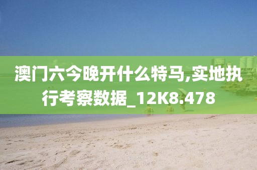 澳门六今晚开什么特马,实地执行考察数据_12K8.478