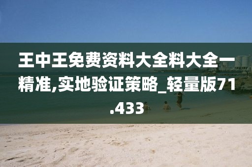 王中王免费资料大全料大全一精准,实地验证策略_轻量版71.433