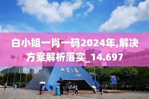 白小姐一肖一码2024年,解决方案解析落实_14.697