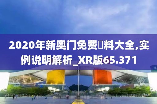 2020年新奥门免费資料大全,实例说明解析_XR版65.371