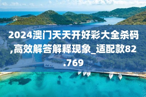 2024澳门天天开好彩大全杀码,高效解答解释现象_适配款82.769