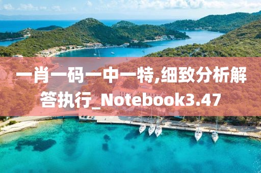 一肖一码一中一特,细致分析解答执行_Notebook3.47