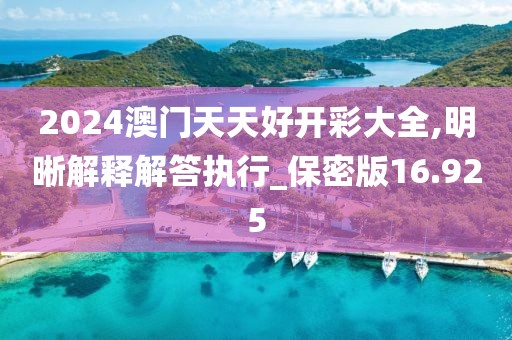 2024澳门天天好开彩大全,明晰解释解答执行_保密版16.925