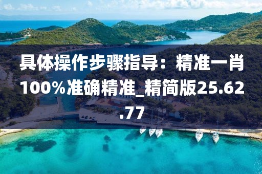 具体操作步骤指导：精准一肖100%准确精准_精简版25.62.77