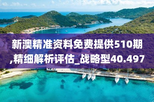 新澳精准资料免费提供510期,精细解析评估_战略型40.497