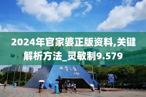 2024年官家婆正版资料,关键解析方法_灵敏制9.579