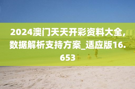 2024澳门天天开彩资料大全,数据解析支持方案_适应版16.653