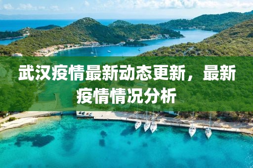 武汉疫情最新动态更新，最新疫情情况分析