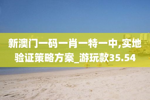 新澳门一码一肖一特一中,实地验证策略方案_游玩款35.54
