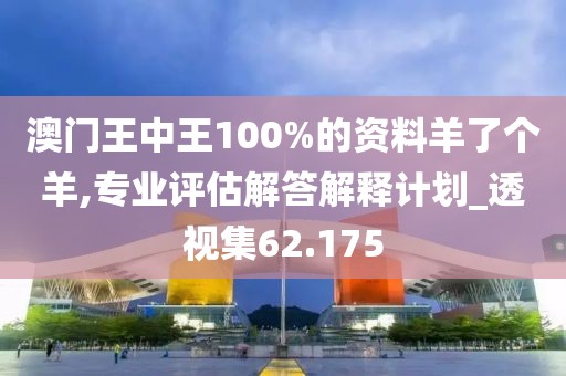 澳门王中王100%的资料羊了个羊,专业评估解答解释计划_透视集62.175