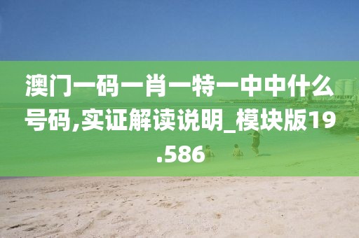 澳门一码一肖一特一中中什么号码,实证解读说明_模块版19.586