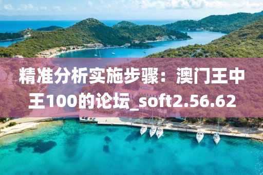 精准分析实施步骤：澳门王中王100的论坛_soft2.56.62