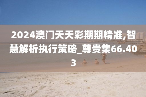 2024澳门天天彩期期精准,智慧解析执行策略_尊贵集66.403