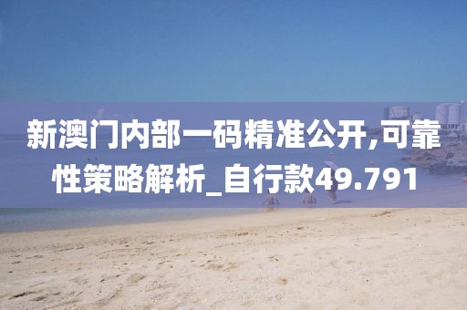 新澳门内部一码精准公开,可靠性策略解析_自行款49.791
