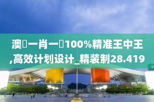 澳門一肖一碼100%精准王中王,高效计划设计_精装制28.419