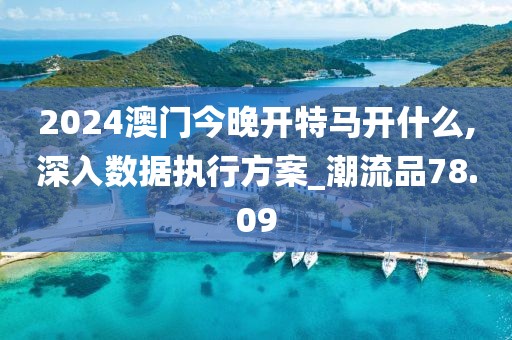 2024澳门今晚开特马开什么,深入数据执行方案_潮流品78.09