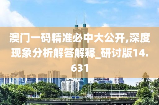 澳门一码精准必中大公开,深度现象分析解答解释_研讨版14.631