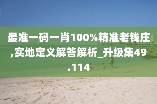 最准一码一肖100%精准老钱庄,实地定义解答解析_升级集49.114