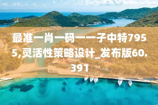 最准一肖一码一一子中特7955,灵活性策略设计_发布版60.391