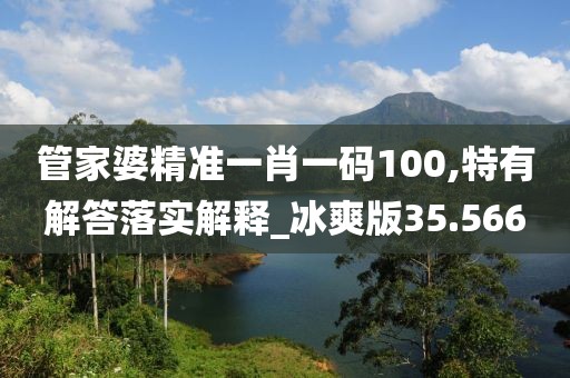 管家婆精准一肖一码100,特有解答落实解释_冰爽版35.566