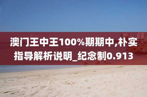 澳门王中王100%期期中,朴实指导解析说明_纪念制0.913