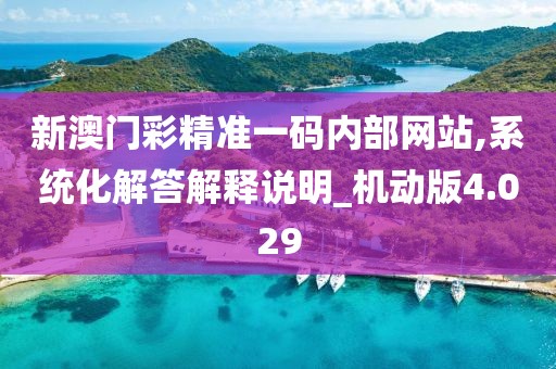 新澳门彩精准一码内部网站,系统化解答解释说明_机动版4.029