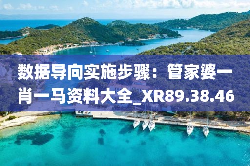 数据导向实施步骤：管家婆一肖一马资料大全_XR89.38.46