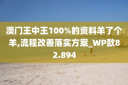 澳门王中王100%的资料羊了个羊,流程改善落实方案_WP款82.894
