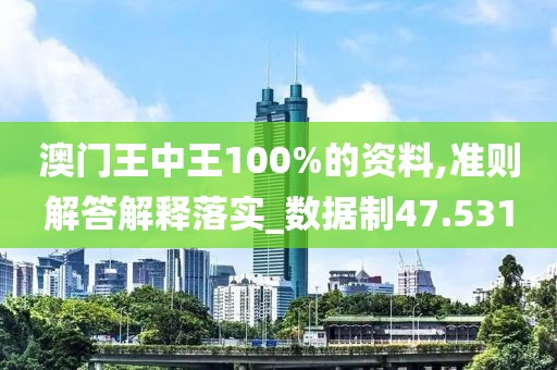 澳门王中王100%的资料,准则解答解释落实_数据制47.531