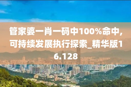 管家婆一肖一码中100%命中,可持续发展执行探索_精华版16.128